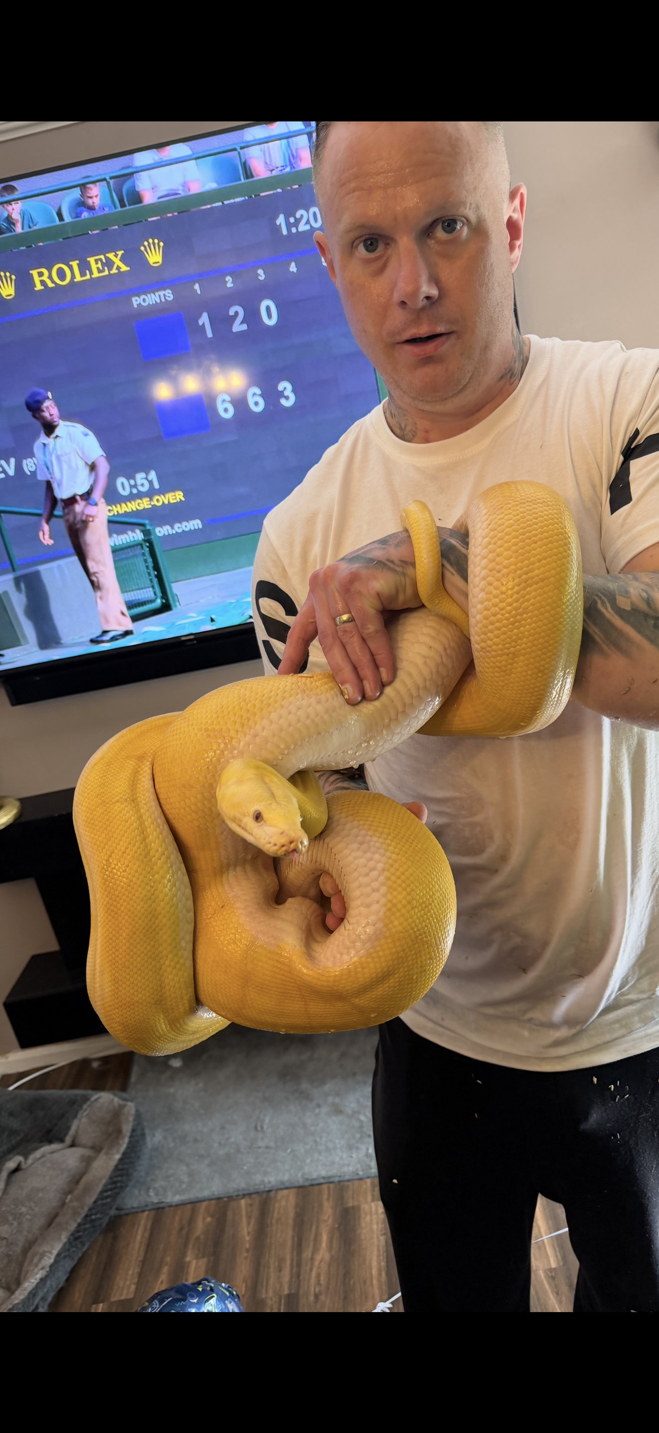 images Media