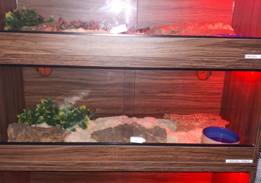 Snake Vivarium Unit