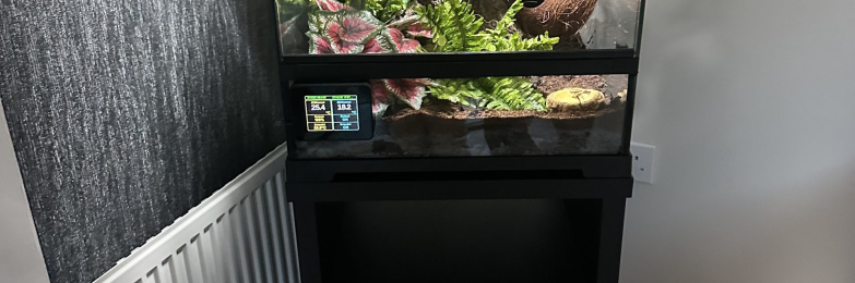 Stunning Gorgoyle Gecko & Full Set Up